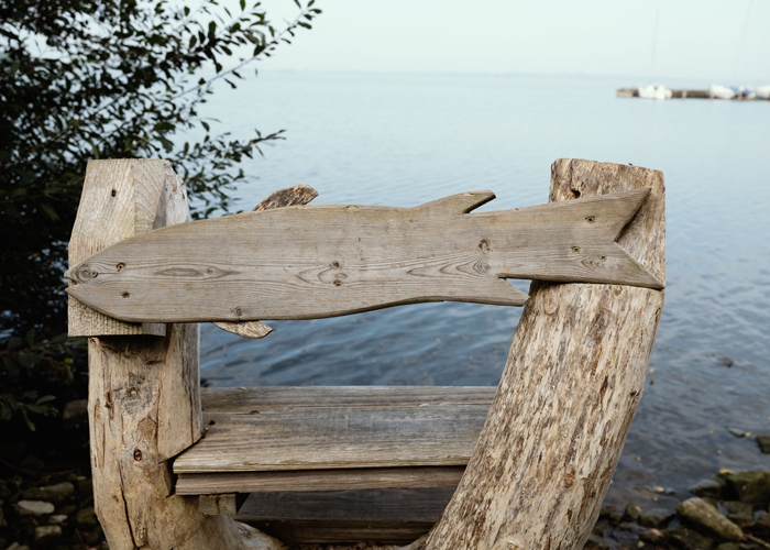 Fischbank am Dümmer See
