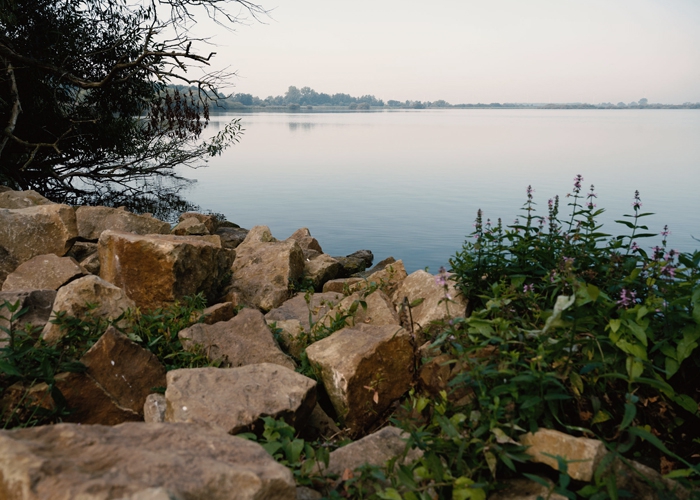 Dümmer See im Landkreis Diepholz